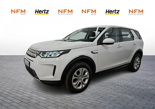 mazowieckie Land Rover Discovery Sport cena 149500 przebieg: 66813, rok produkcji 2019 z Wieluń